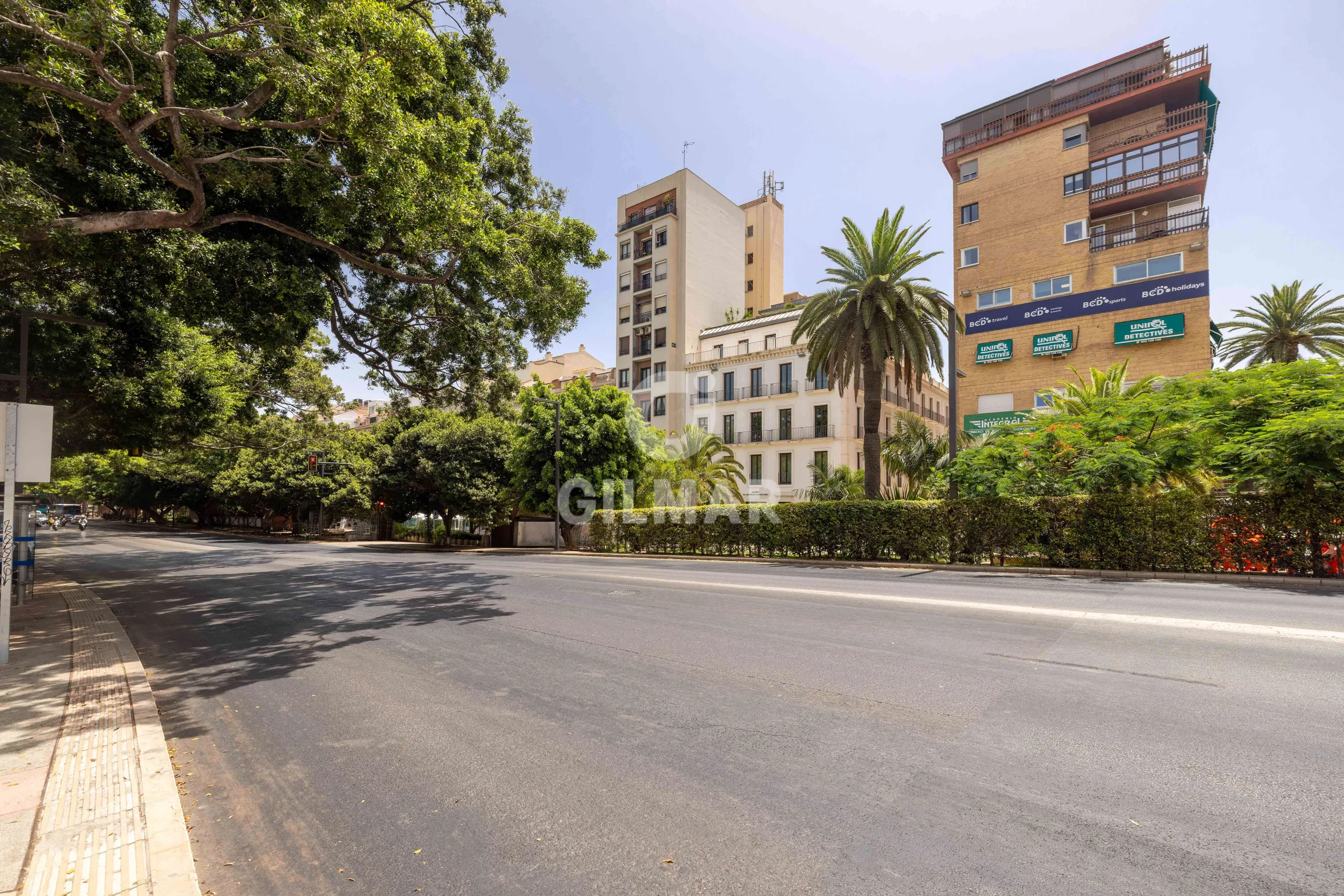 Apartment in Centro (Málaga) - Málaga