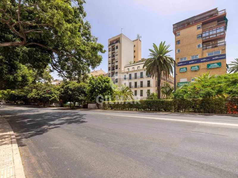 Apartment in Centro (Málaga) - Málaga
