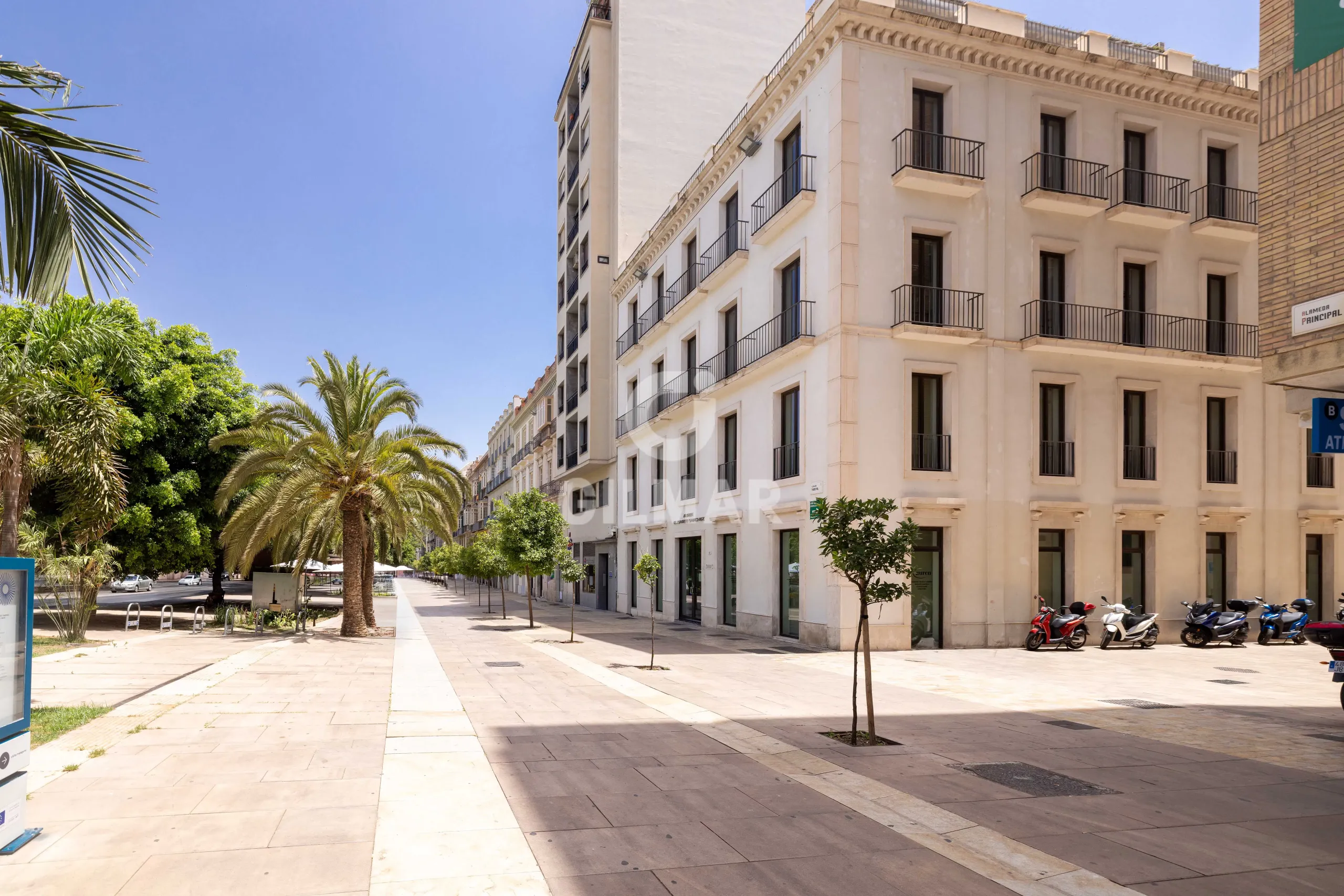 Apartment in Centro (Málaga) - Málaga