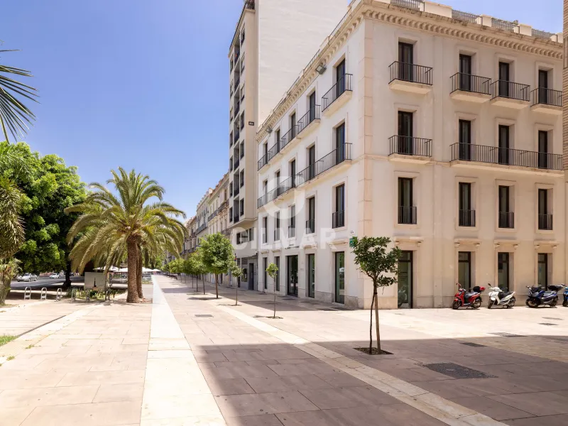 Apartment in Centro (Málaga) - Málaga