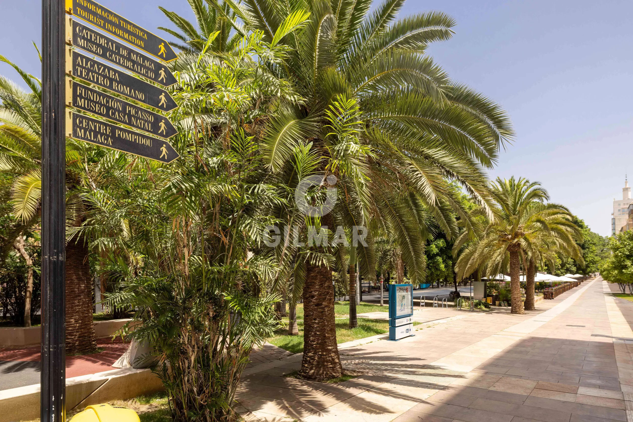 Apartment in Centro (Málaga) - Málaga
