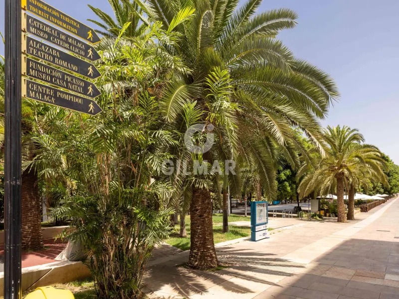 Apartment in Centro (Málaga) - Málaga