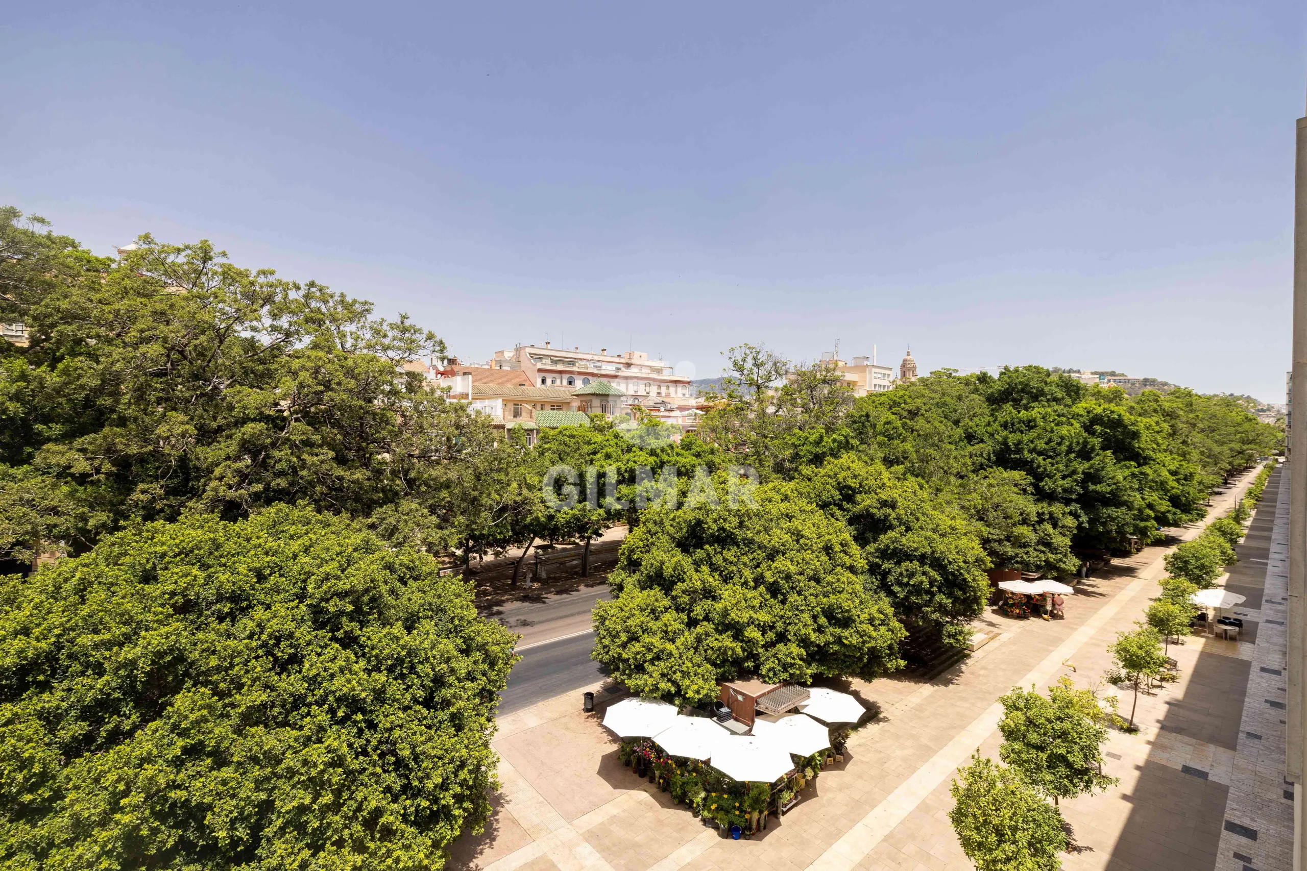Apartment in Centro (Málaga) - Málaga