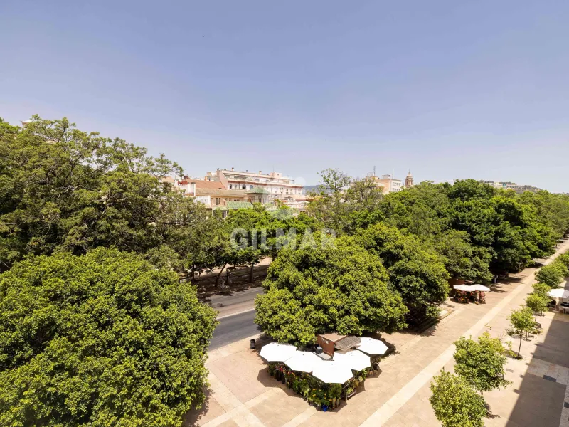 Apartment in Centro (Málaga) - Málaga