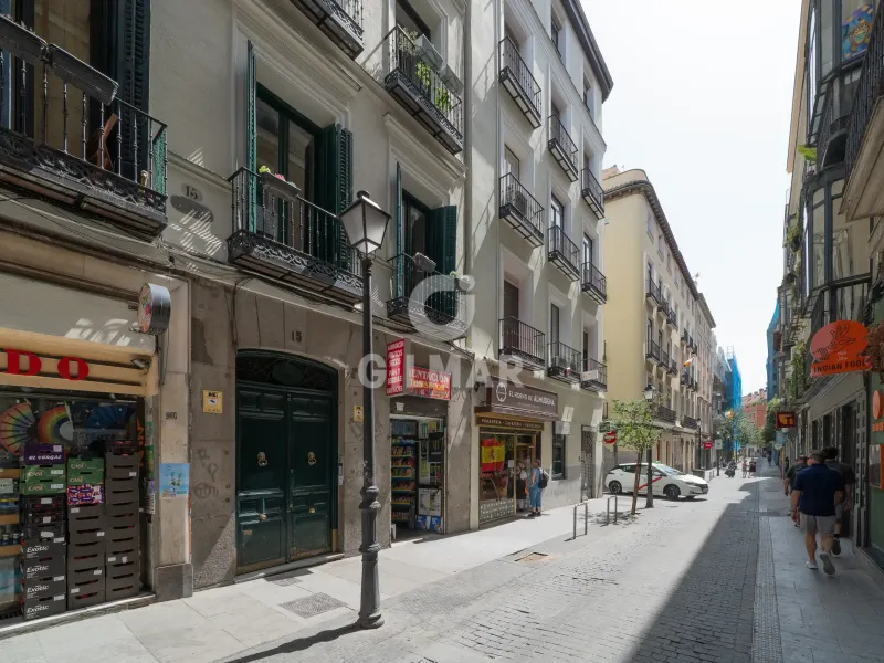 Apartment in Chueca - Madrid