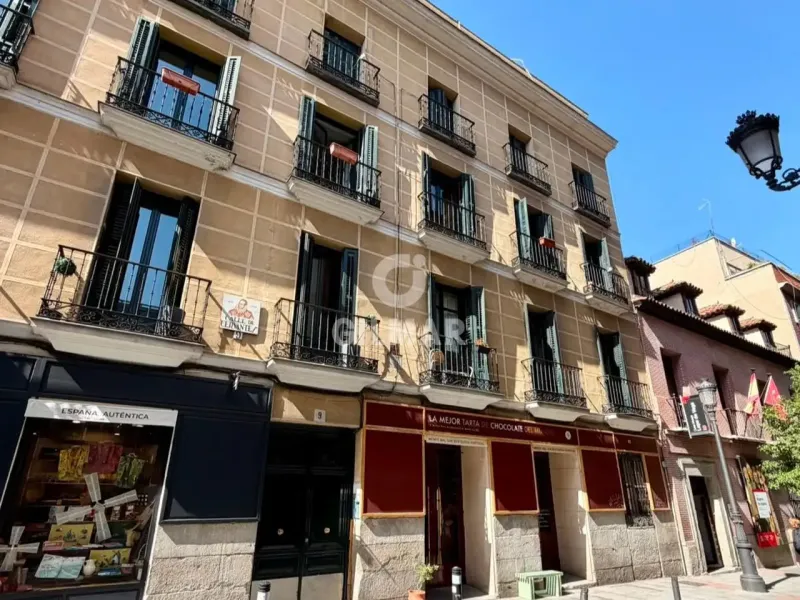 Apartment in Cortes - Madrid