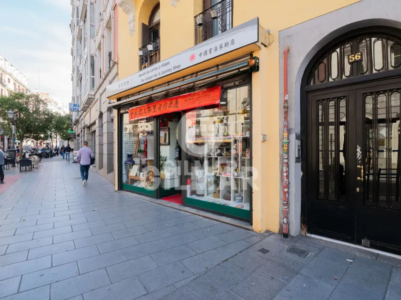 Apartment in Malasaña - Madrid
