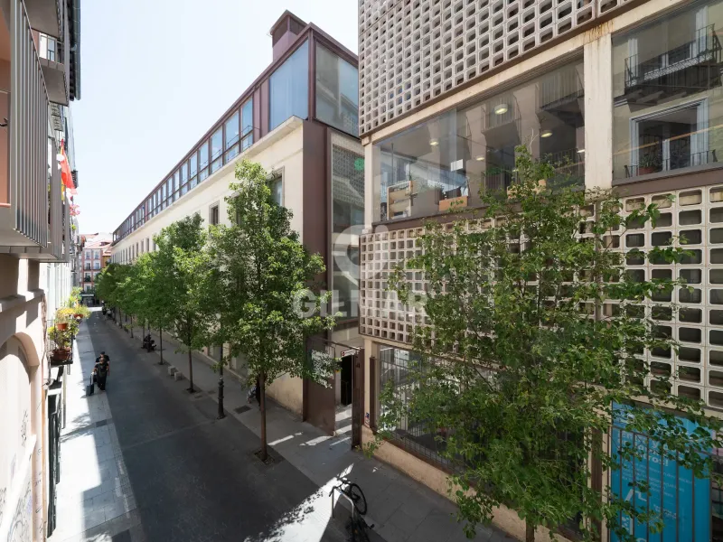 Apartment in Chueca - Madrid