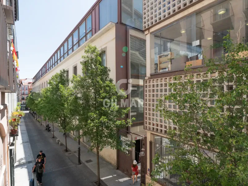 Apartment in Chueca - Madrid