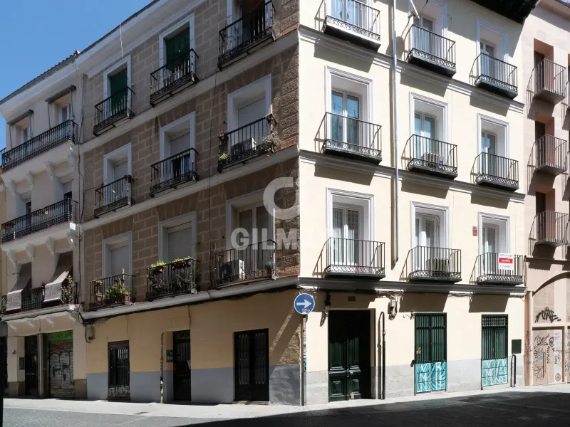 Apartment in Chueca - Madrid