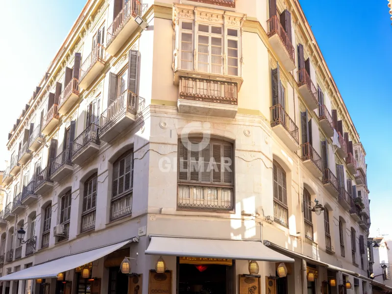 Apartment in Centro (Málaga) - Málaga