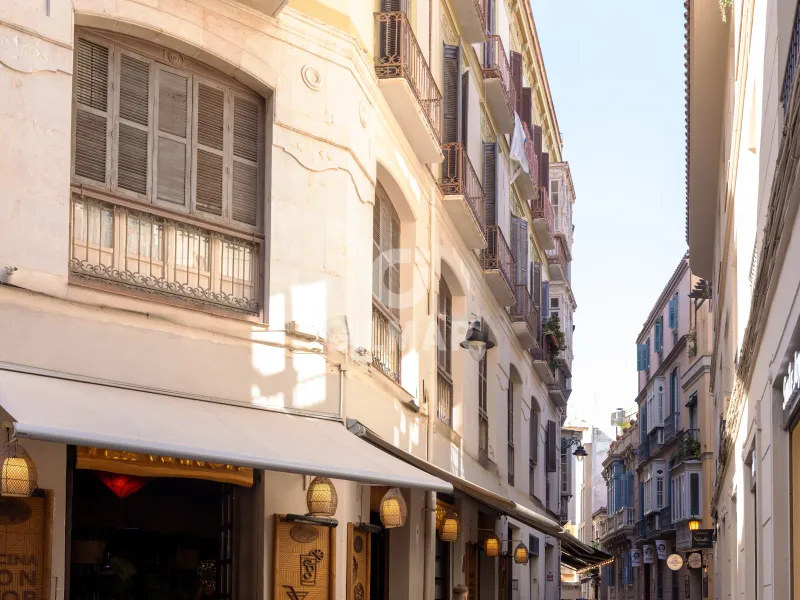 Apartment in Centro (Málaga) - Málaga