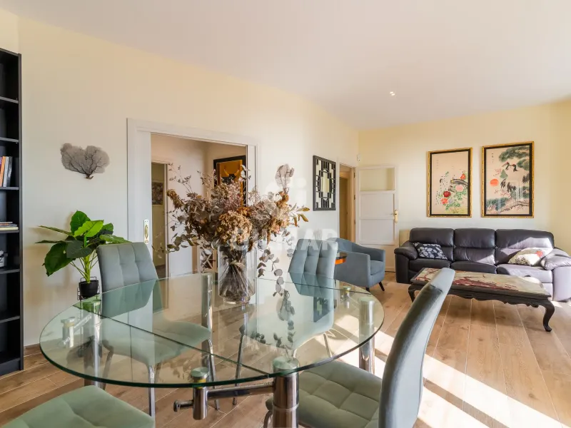 Apartment in Cádiz - Cádiz
