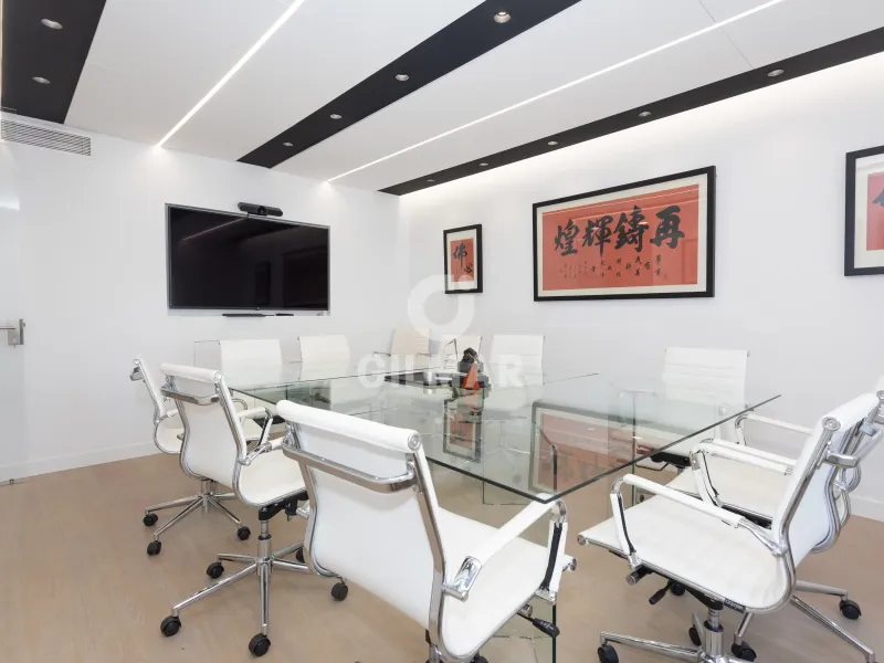 Apartment in Castellana-Orense - Madrid