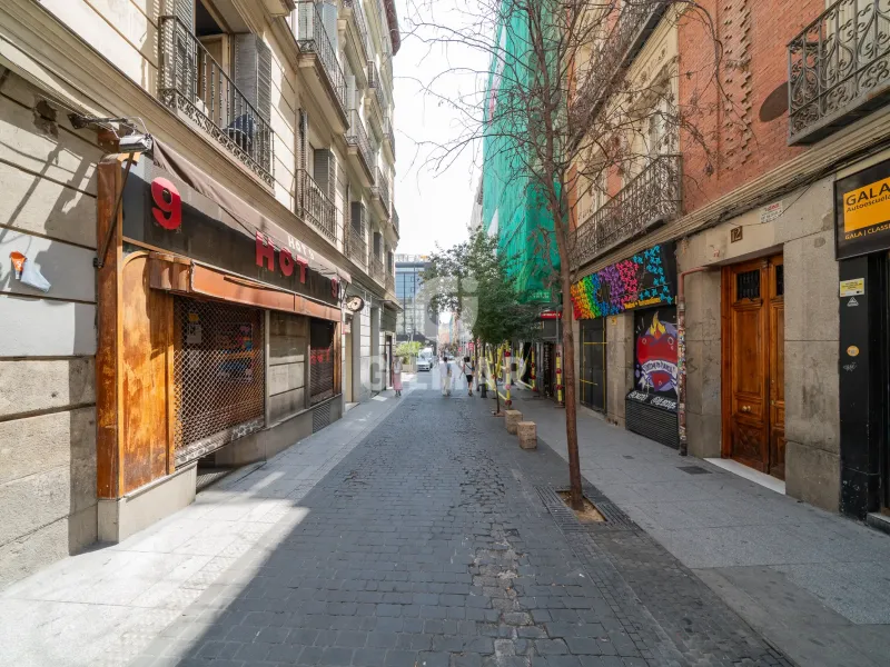 Duplex penthouse in Justicia - Madrid