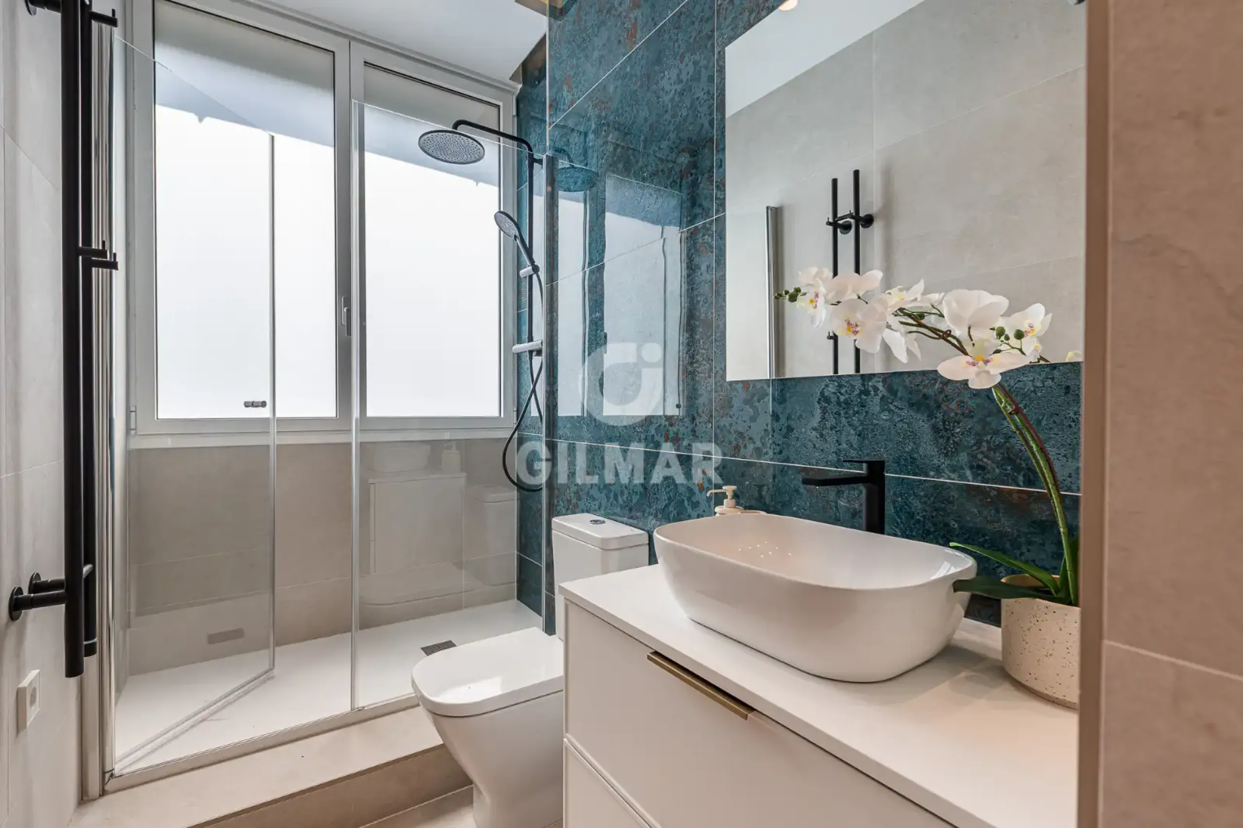 Apartment in Ibiza - Madrid