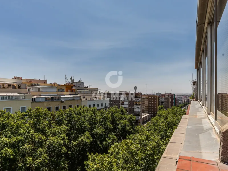 Apartment in Ibiza - Madrid