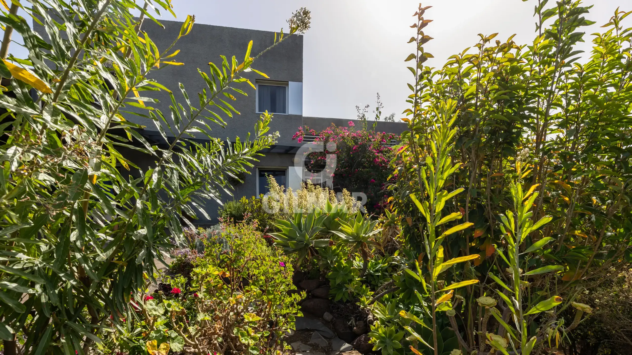 Villa in Las Palmas de Gran Canaria - Las Palmas