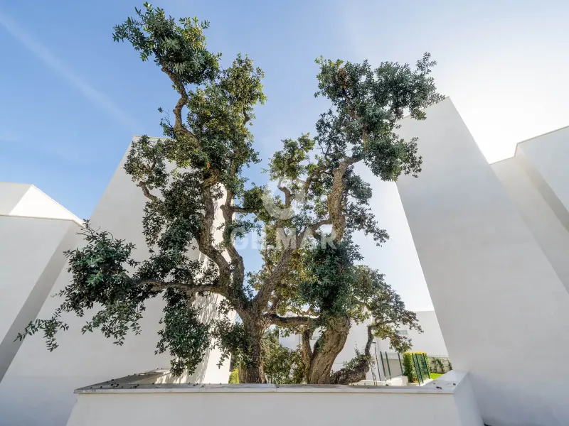 Semi-detached house in Sotogrande - Cádiz