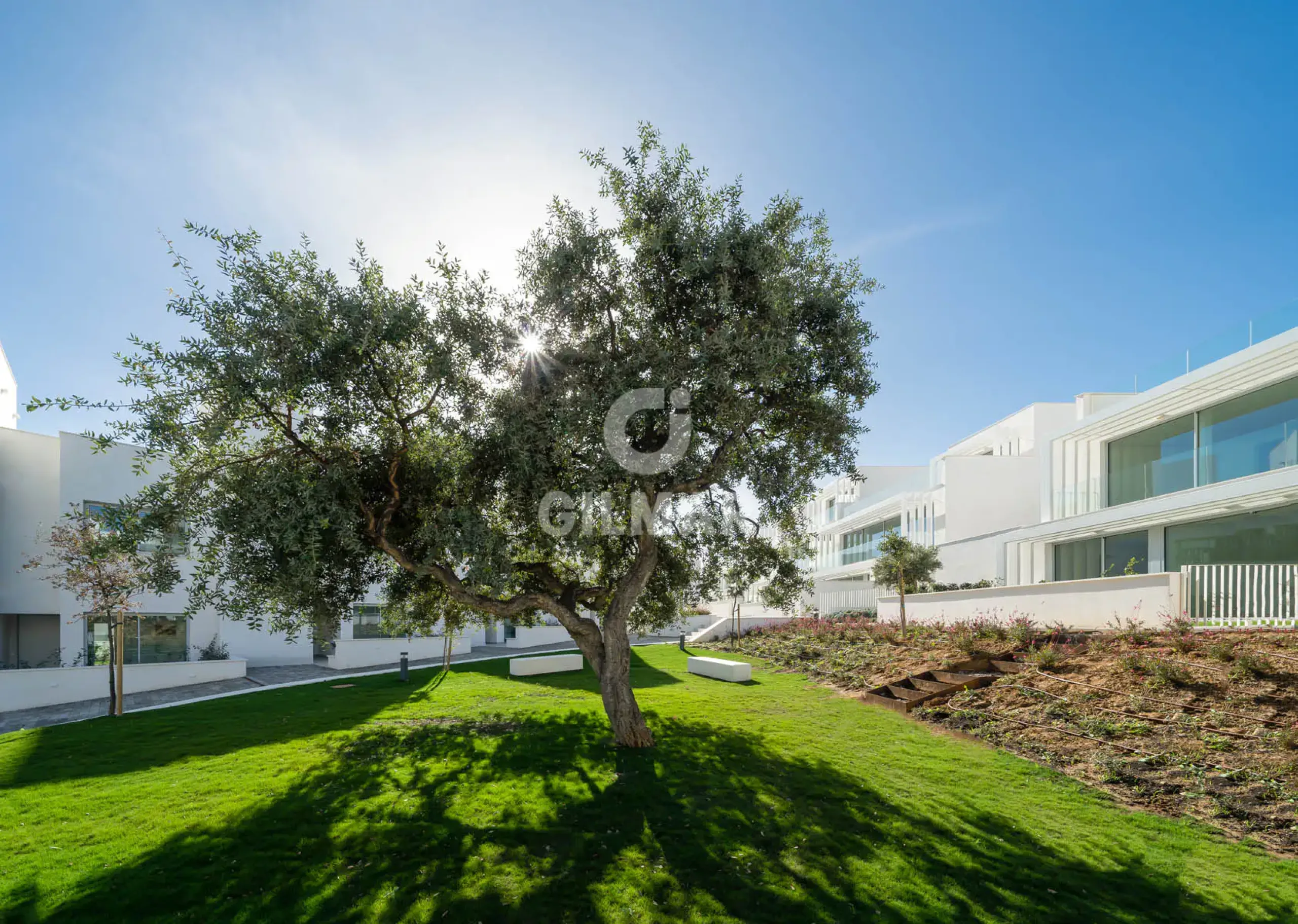 Semi-detached house in Sotogrande - Cádiz