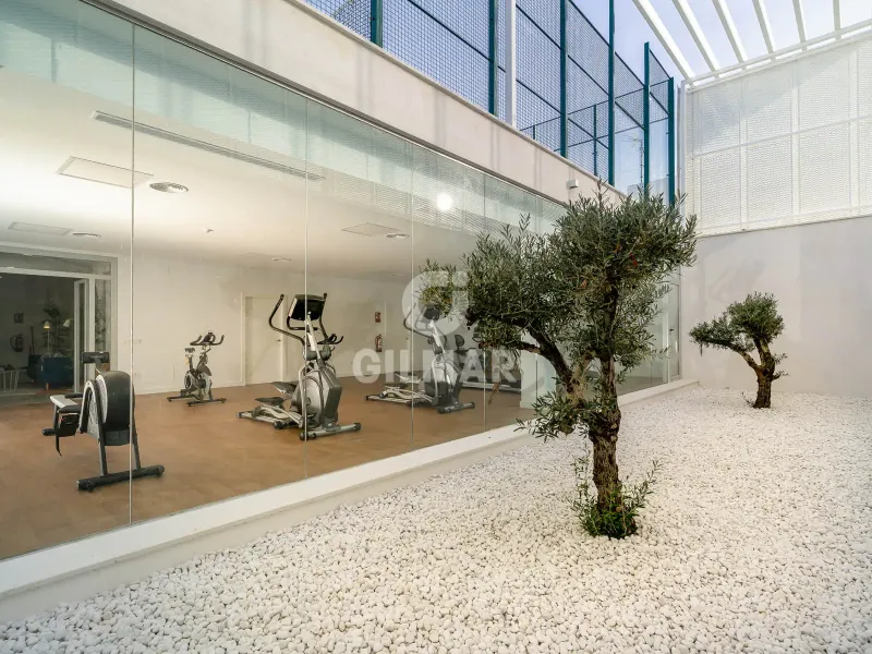Semi-detached house in Sotogrande - Cádiz