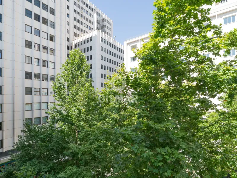 Apartment in Argüelles - Madrid
