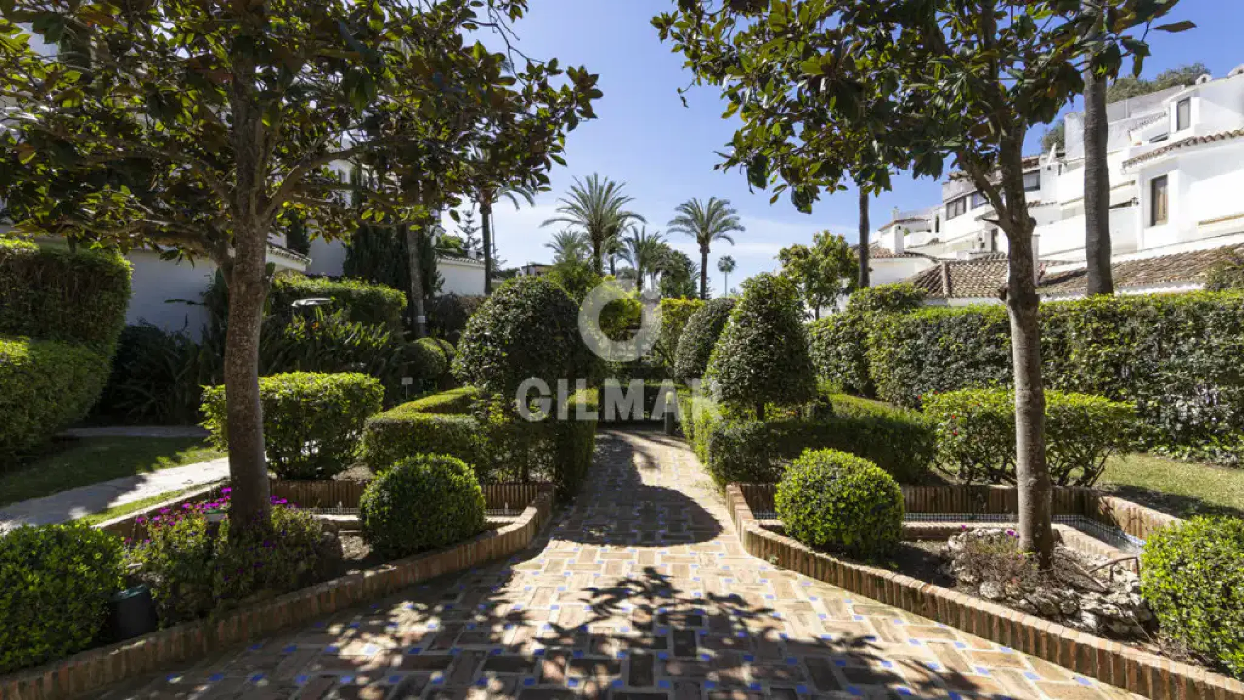 Duplex penthouse in Marbella Este - Málaga