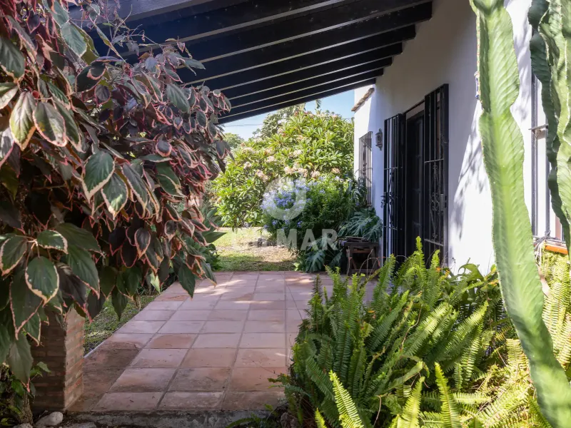 Villa in Estepona Oeste - Málaga