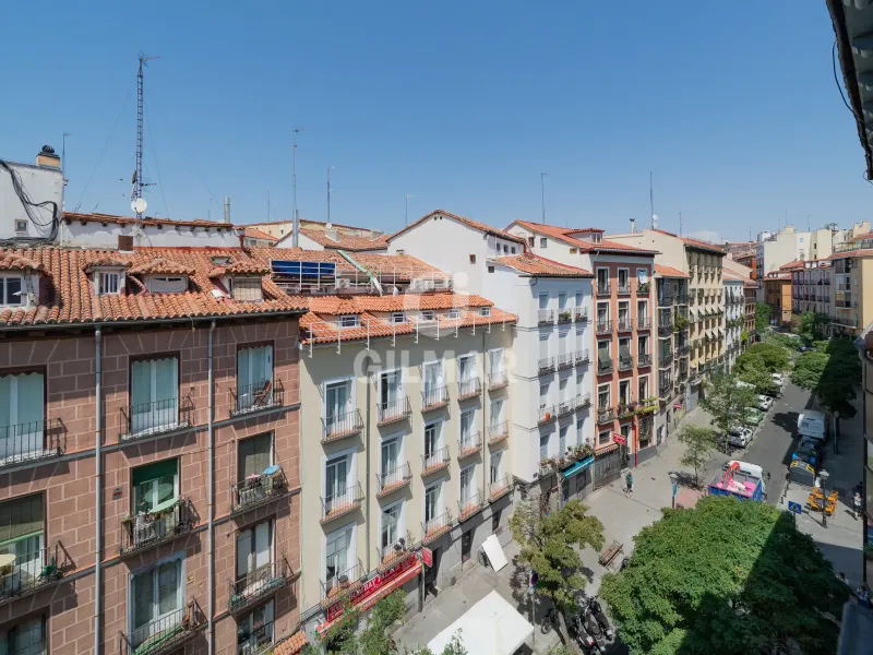 Apartment in Lavapiés - Madrid