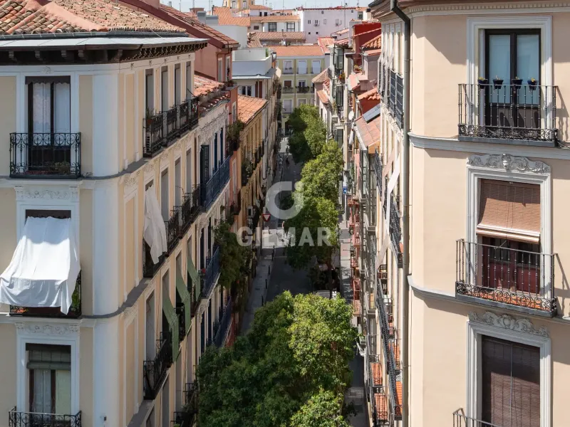 Apartment in Lavapiés - Madrid