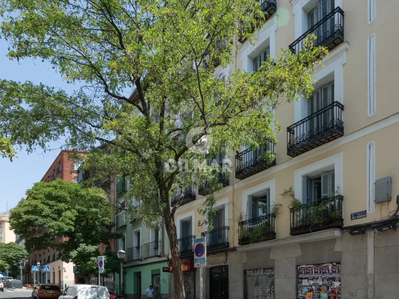Apartment in Lavapiés - Madrid