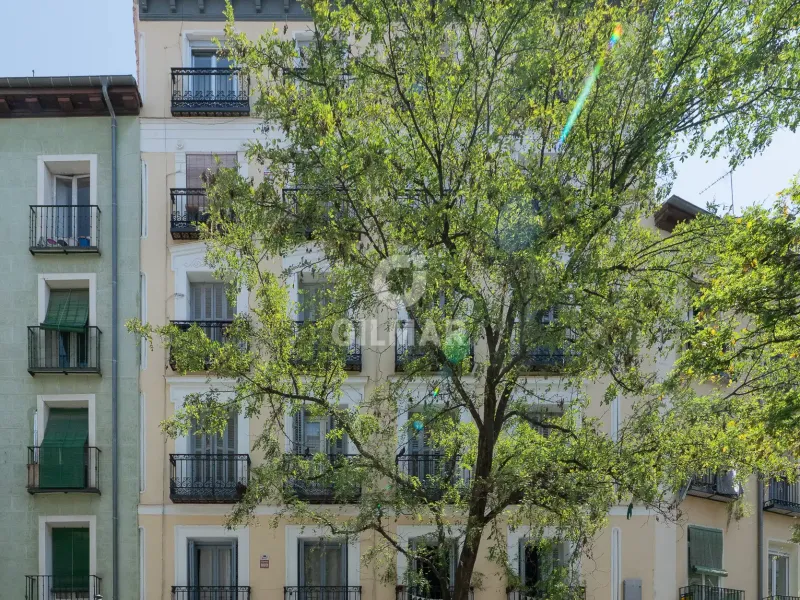 Apartment in Lavapiés - Madrid