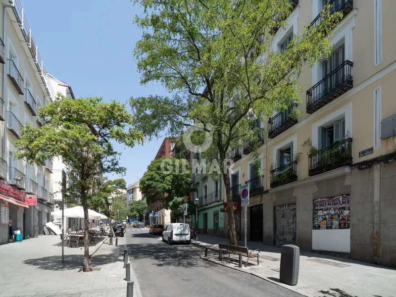 Apartment in Lavapiés - Madrid