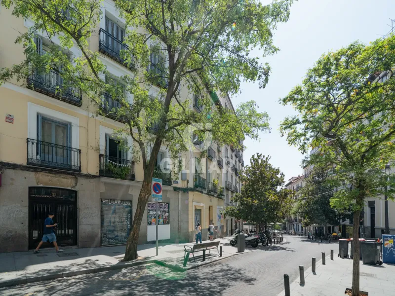 Apartment in Lavapiés - Madrid
