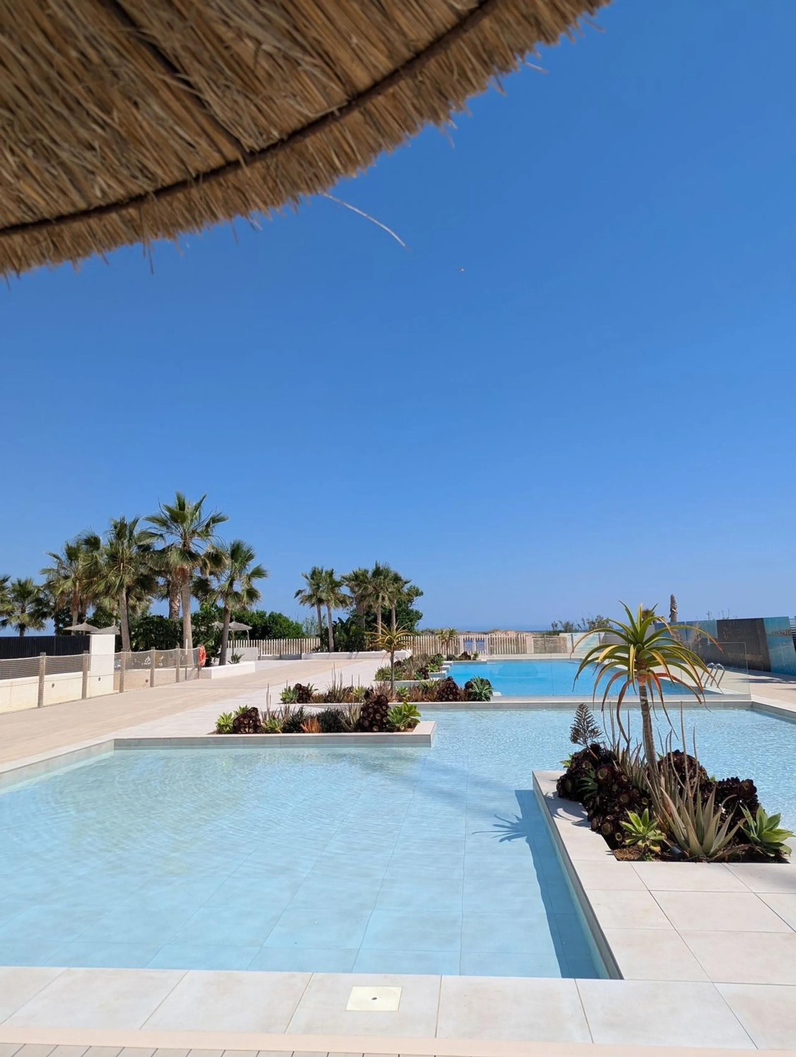 Apartments on the Beachfront in Dénia, Alicante