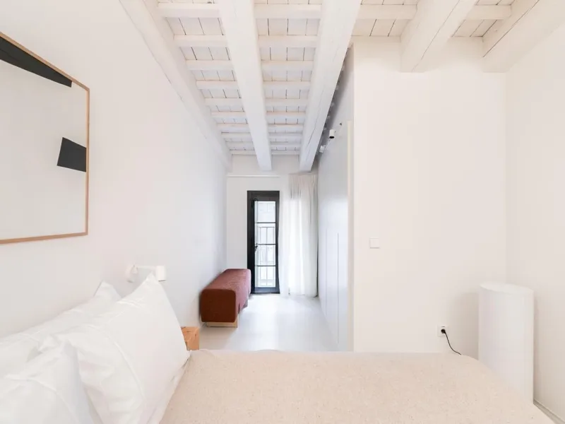 Luxury Furnished 2-Bedroom Apartment in the Gothic Quarter, Barcelona