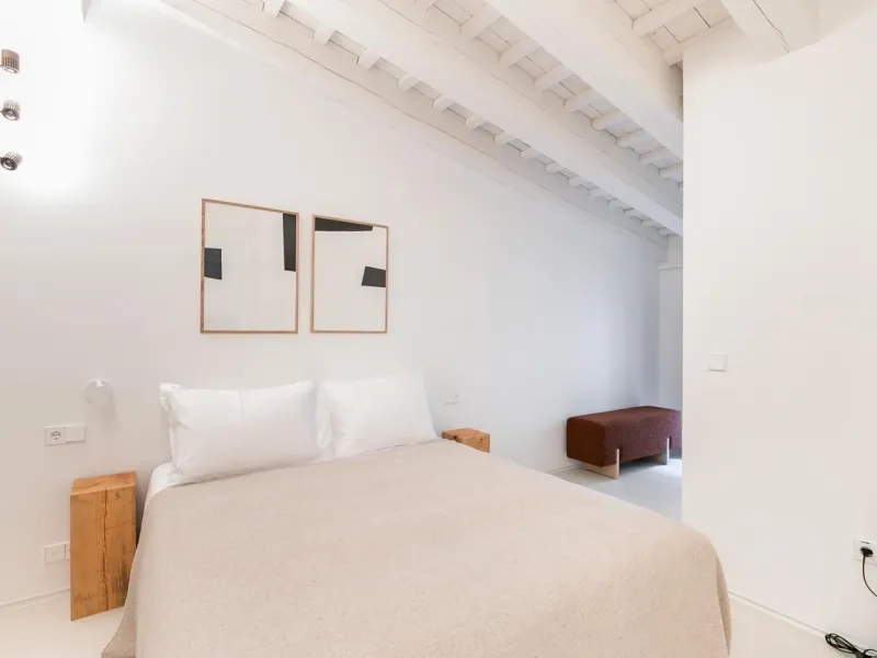 Luxury Furnished 2-Bedroom Apartment in the Gothic Quarter, Barcelona
