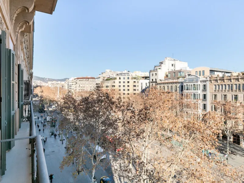 Elegant Apartment with High-Level Comfort on Passeig de Gracia, Barcelona