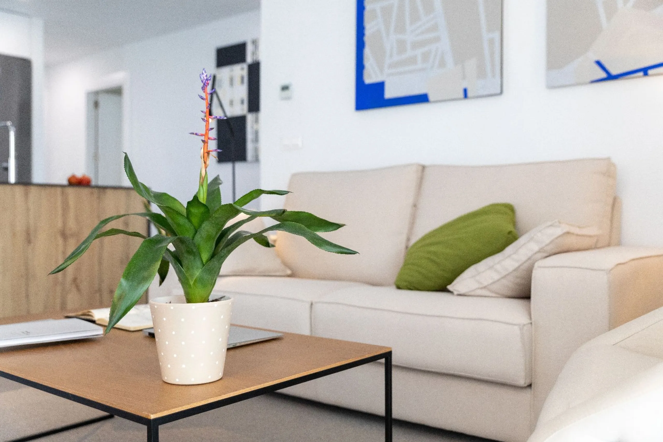 Exclusive Collection of Villas with Sea Views in Polop, Alicante