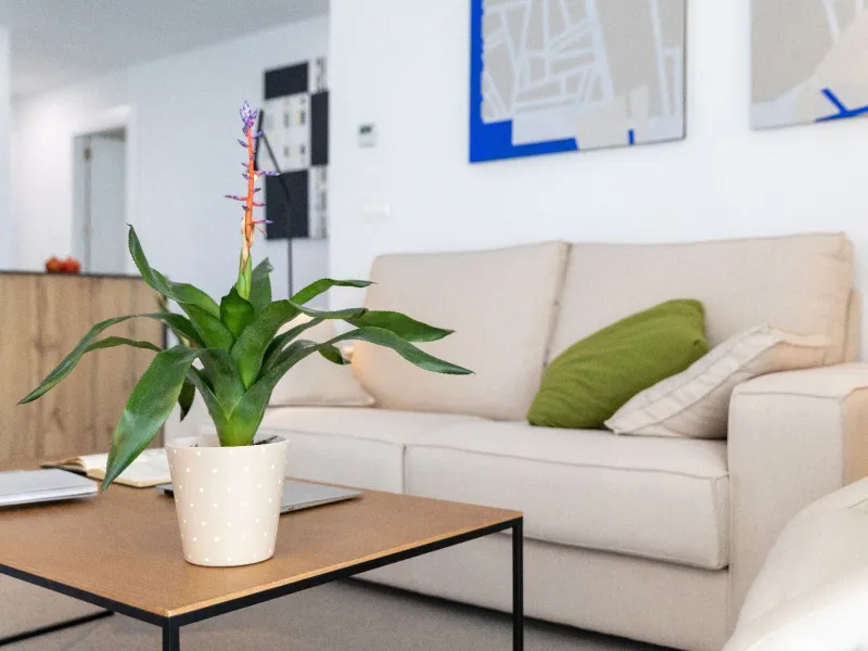 Exclusive Collection of Villas with Sea Views in Polop, Alicante