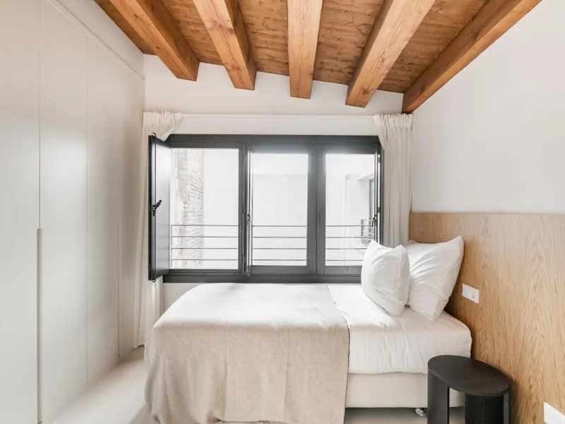 Luxury Apartment with High-End Furnishings and SPA in the Gothic Quarter, Barcelona