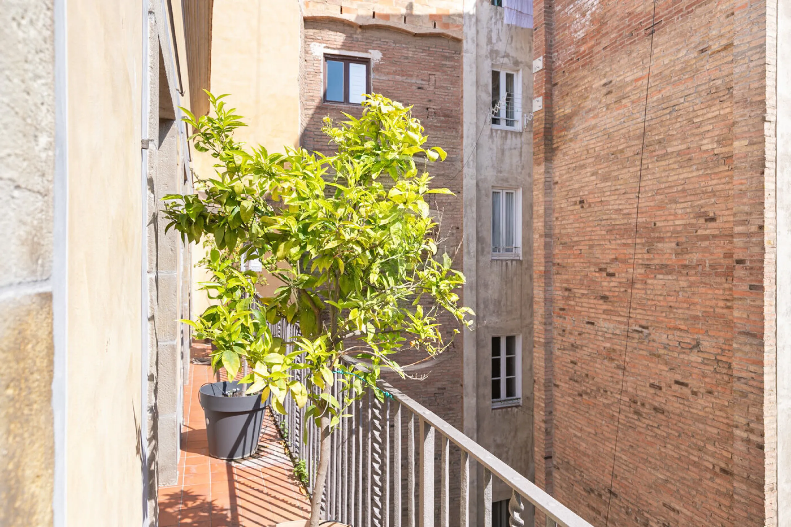 Historic Elegance with Private Terrace in the Heart of the Gothic Quarter, Barcelona