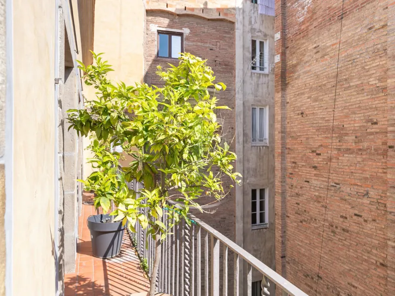 Historic Elegance with Private Terrace in the Heart of the Gothic Quarter, Barcelona