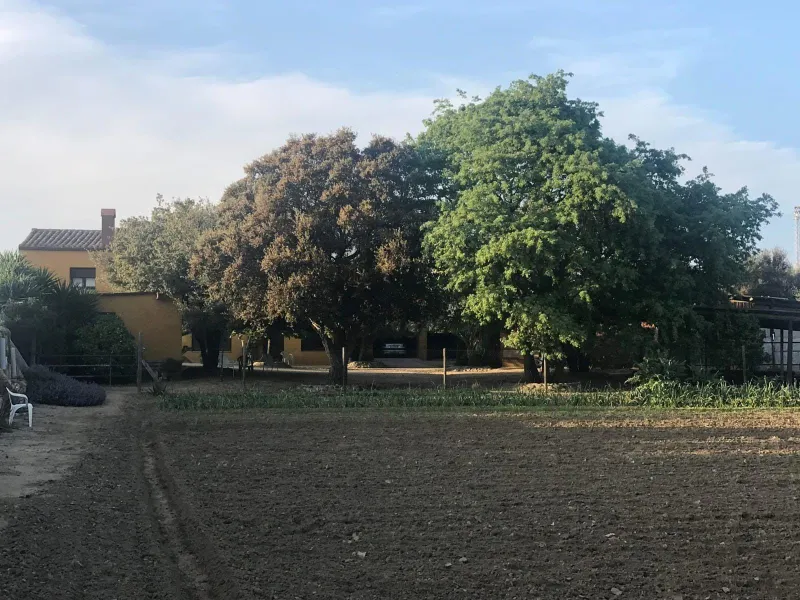 17th Century Catalan Masia for Sale in Palafrugell, Costa Brava