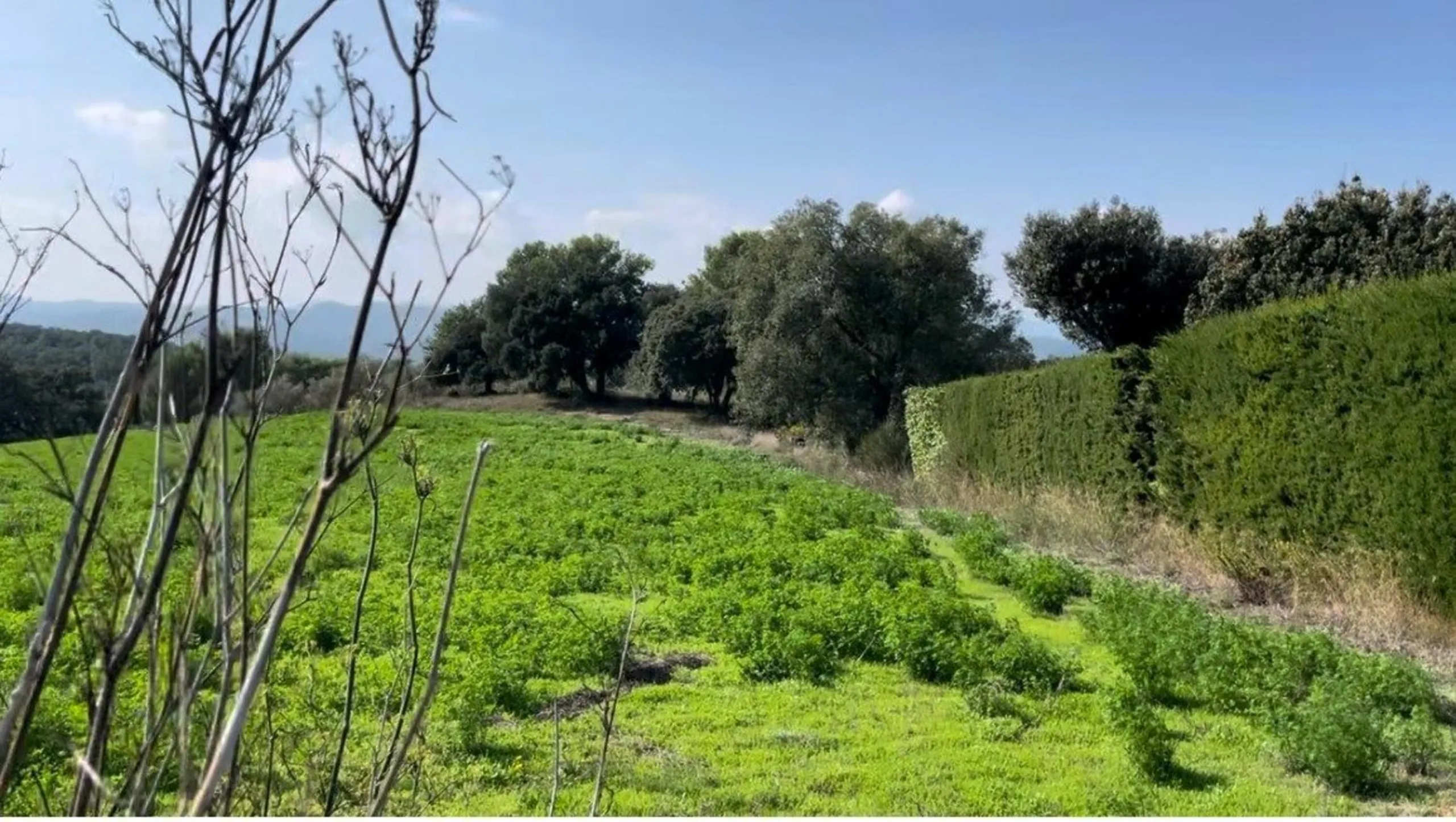 Fantastic Plot in Begur – Mas Rostei with Potential to Build a Poolside Home, Costa Brava
