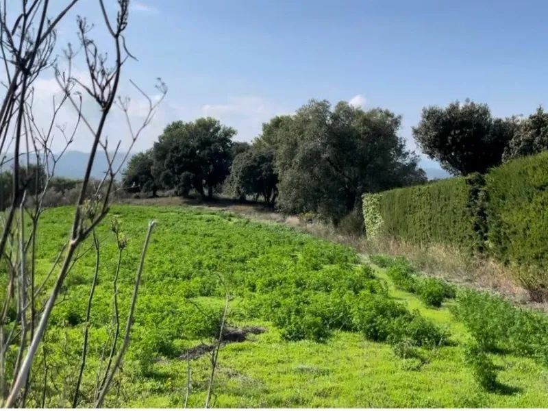 Fantastic Plot in Begur – Mas Rostei with Potential to Build a Poolside Home, Costa Brava