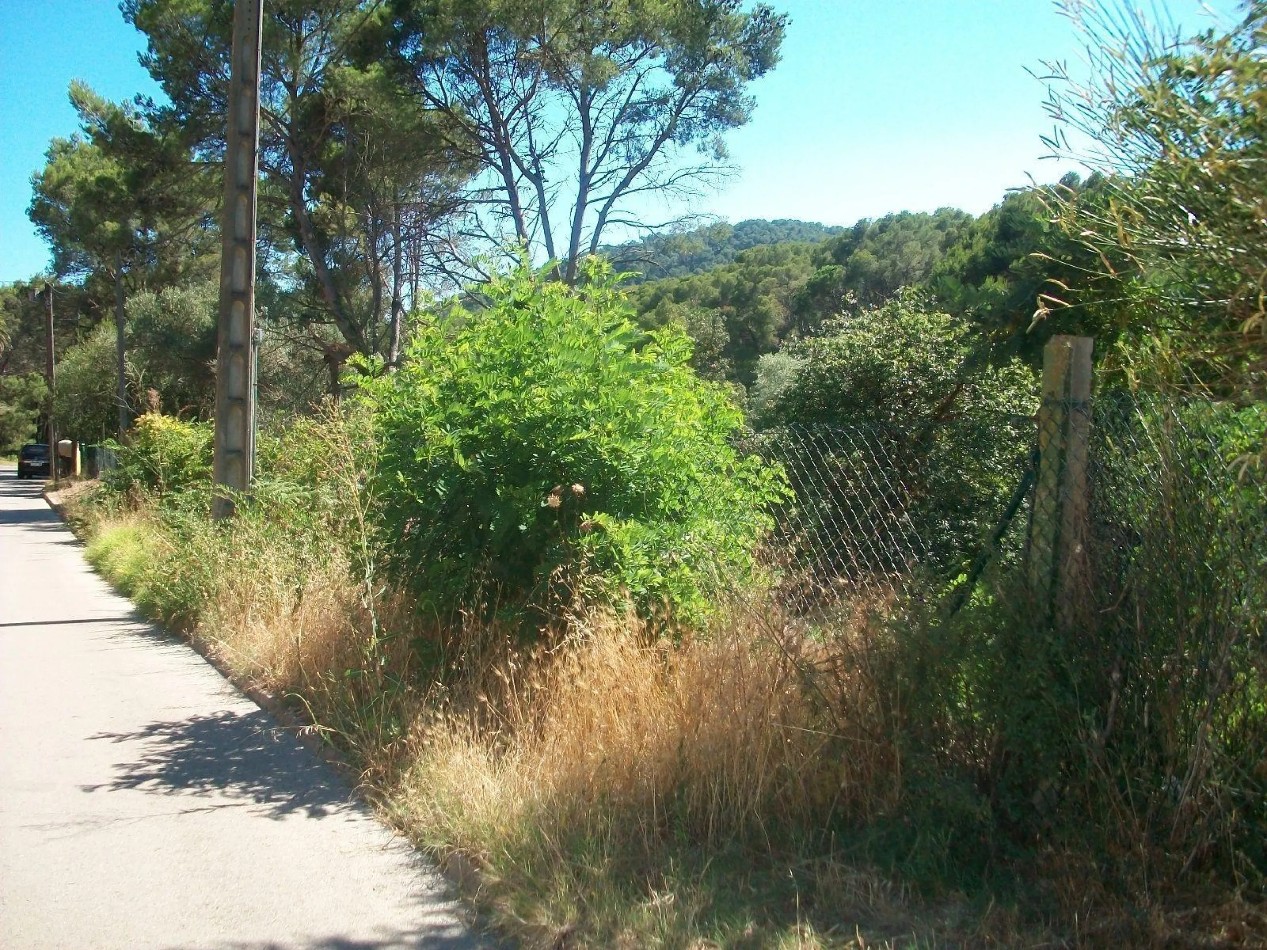 Beautiful Land Plots for Sale in Tamariu, Costa Brava