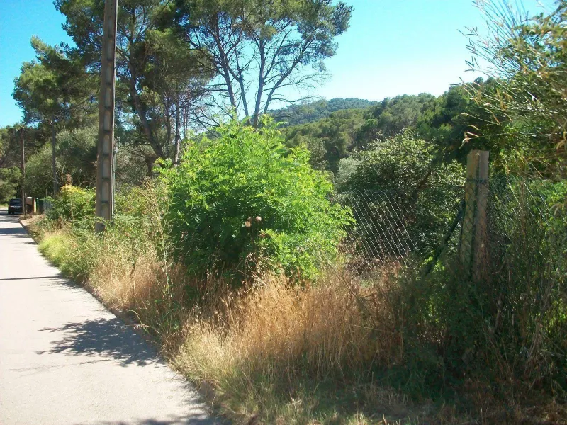 Beautiful Land Plots for Sale in Tamariu, Costa Brava