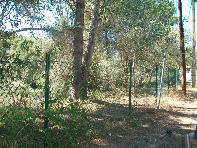 Beautiful Land Plots for Sale in Tamariu, Costa Brava