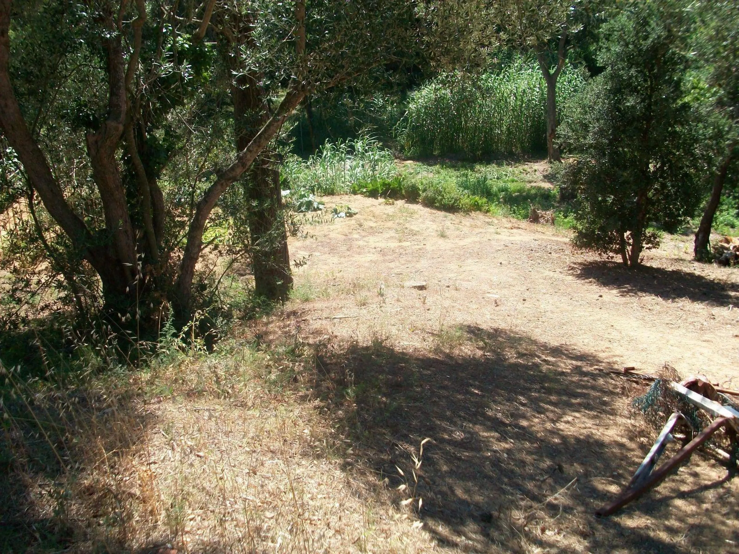 Beautiful Land Plots for Sale in Tamariu, Costa Brava